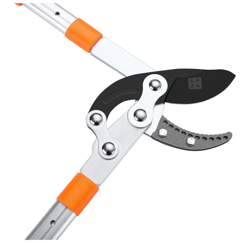 樹木剪定鋏 果樹 軽量で耐久性に優れ 錆びにくい 労働力を節約する タフでシャープ 室内