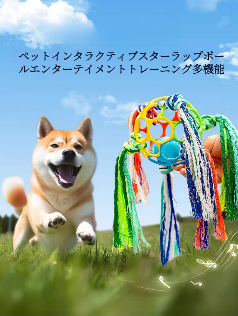 インタラクティブサウンドベルおもちゃを持つ飼い主とペット