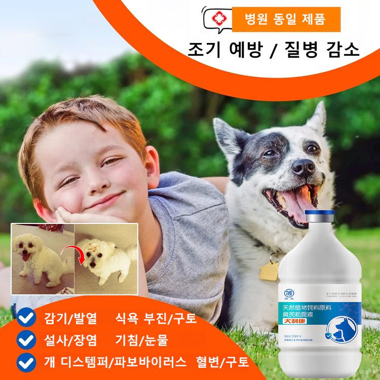 애견 건강 항바이러스제