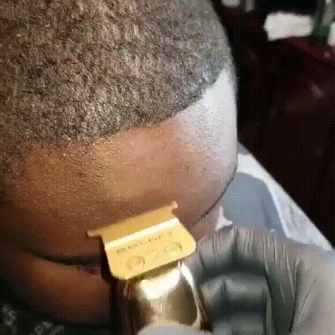 4.gif