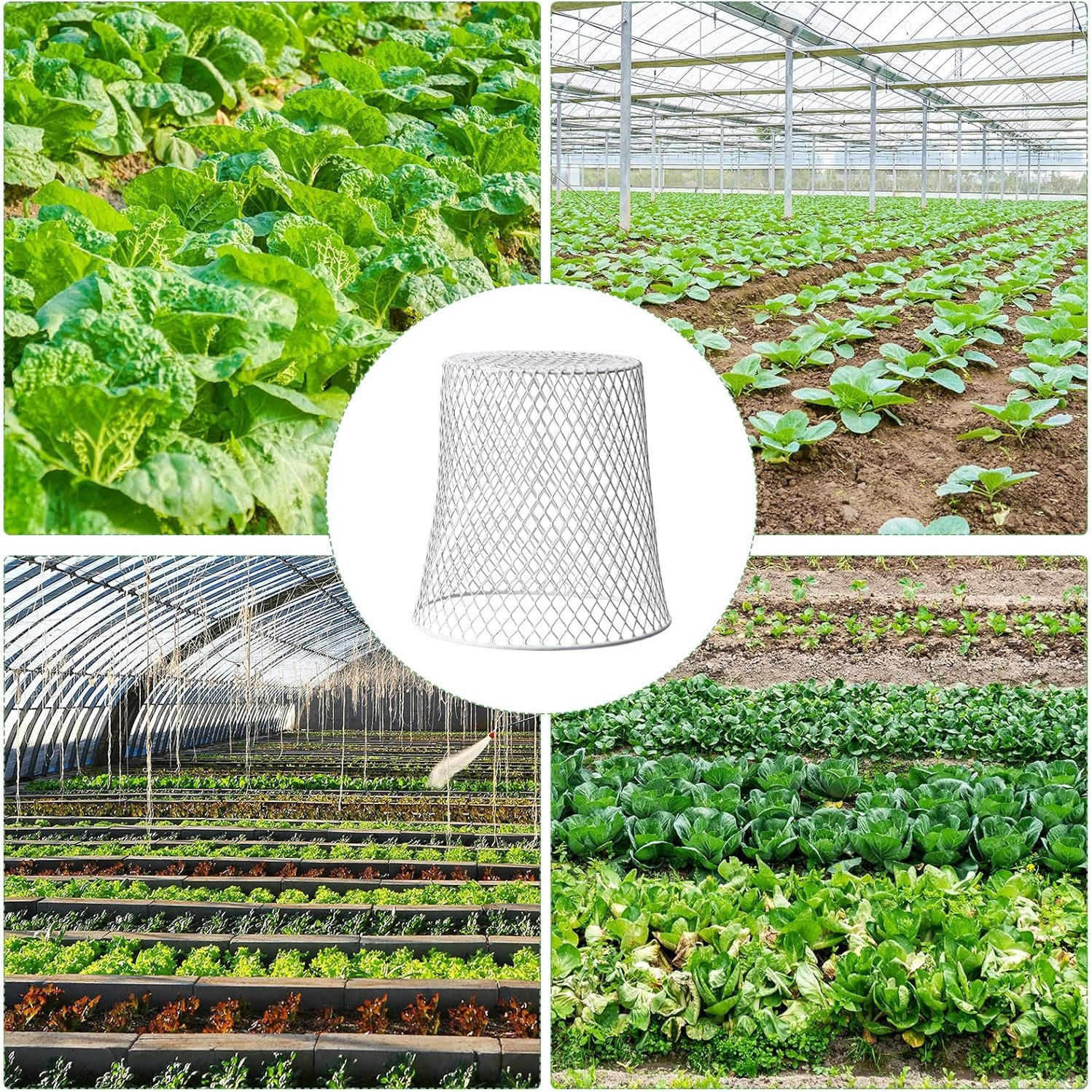 植物ワイヤー保護カバー 鉄製植物保護カバー 庭の屋根 野菜苗 果物と野菜の保護ケージ 苗のメンテナンス