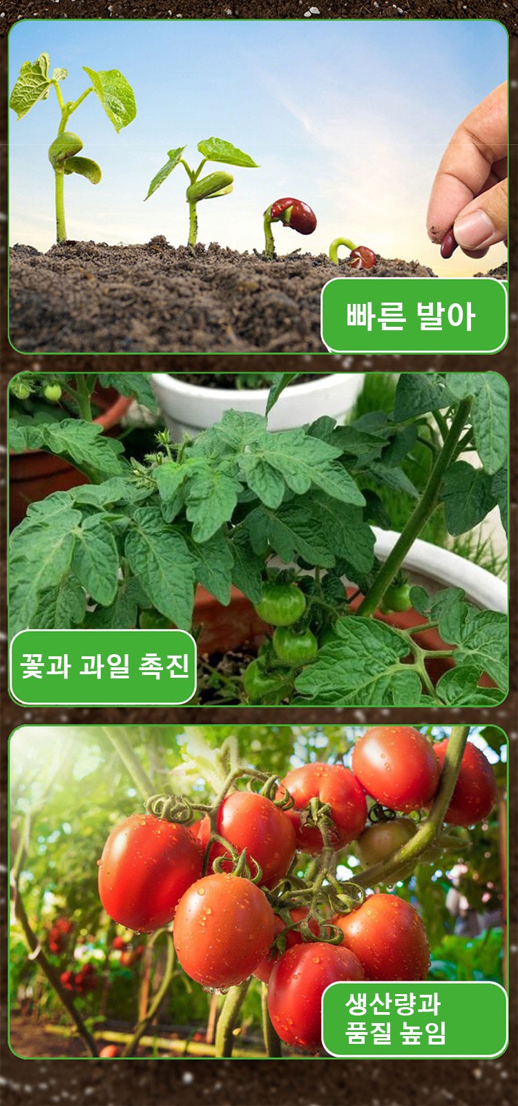 작물 수확량 증가에 도움을 주는 토양 활성제