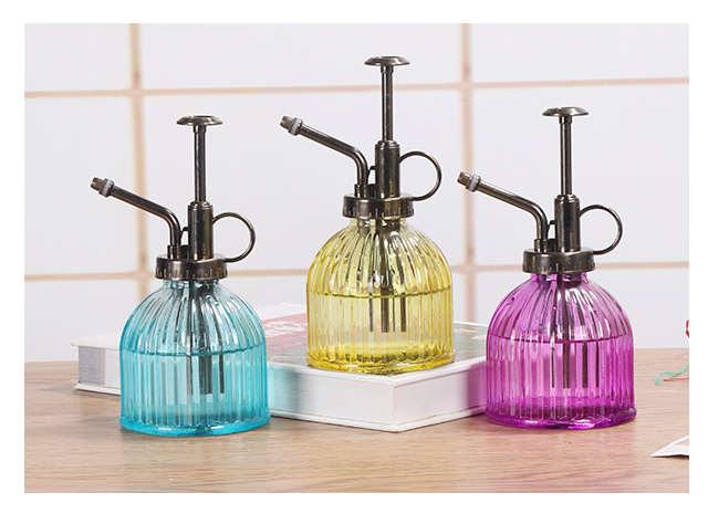 Home décor vintage glass watering jug display