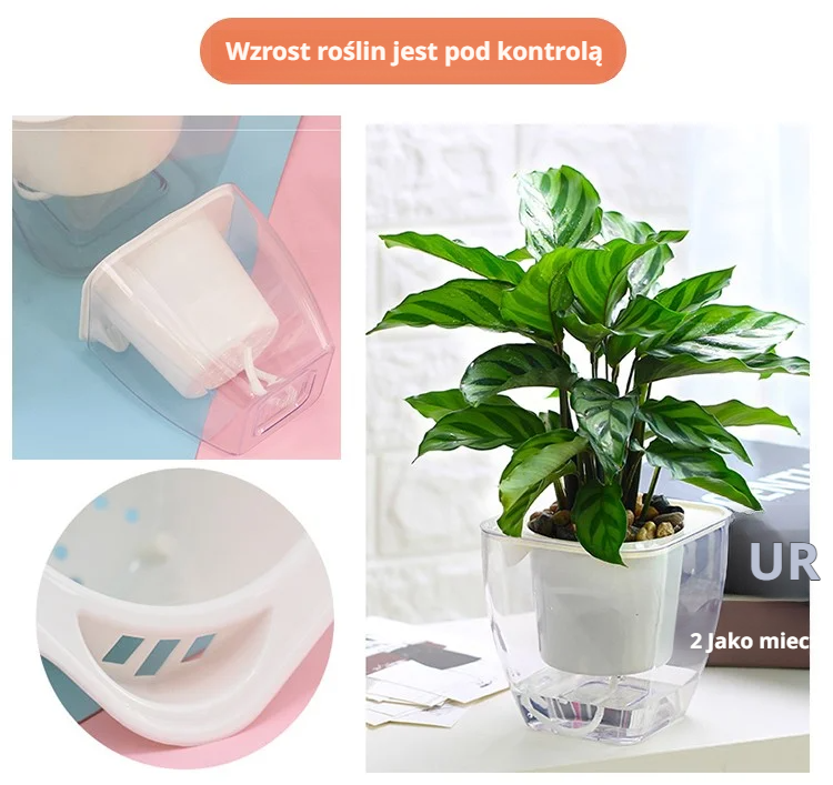 Doniczka idealna dla zapracowanych osób