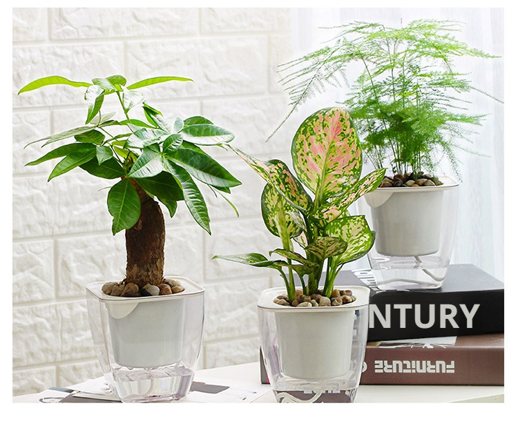 See-through lazy flower pot for healthy plant growth