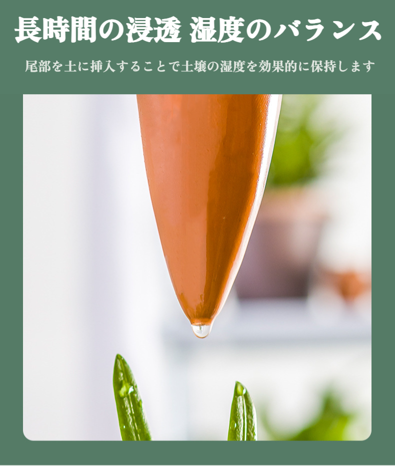 観葉植物の横に置かれたクリスマスツリー型ドリッパー