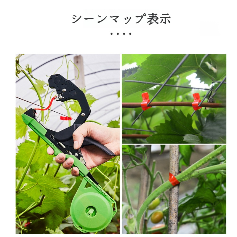 園芸のブドウのタイイングマシンス