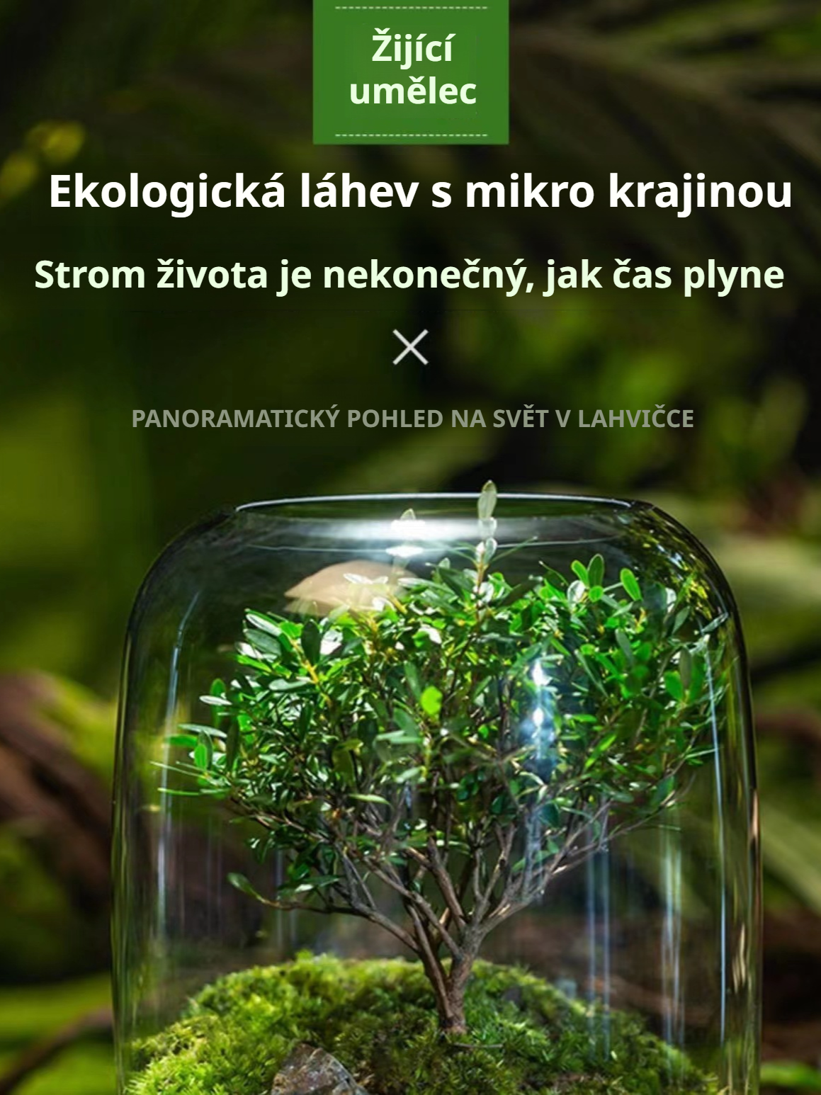 Hotová stolní bonsaj s mechem – miniaturní krajina