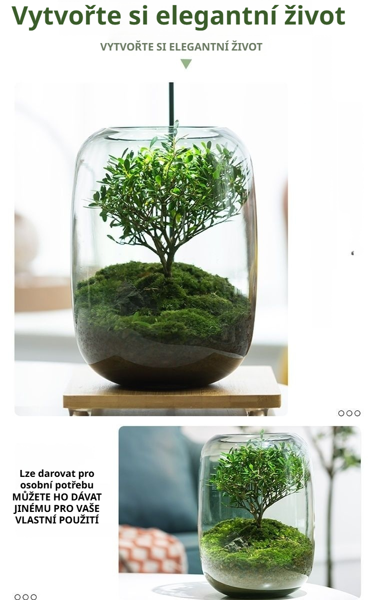 Moderní interiér s bonsají a mechem na stole