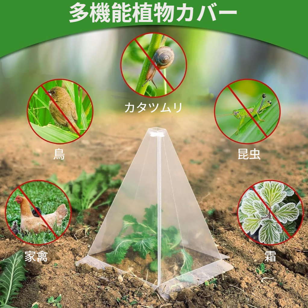 鳥や霜害から植物を保護するための植物コーングリーンベルカバーガーデン苗カバー