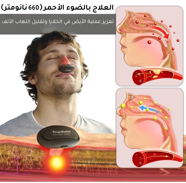 0_11.jpg