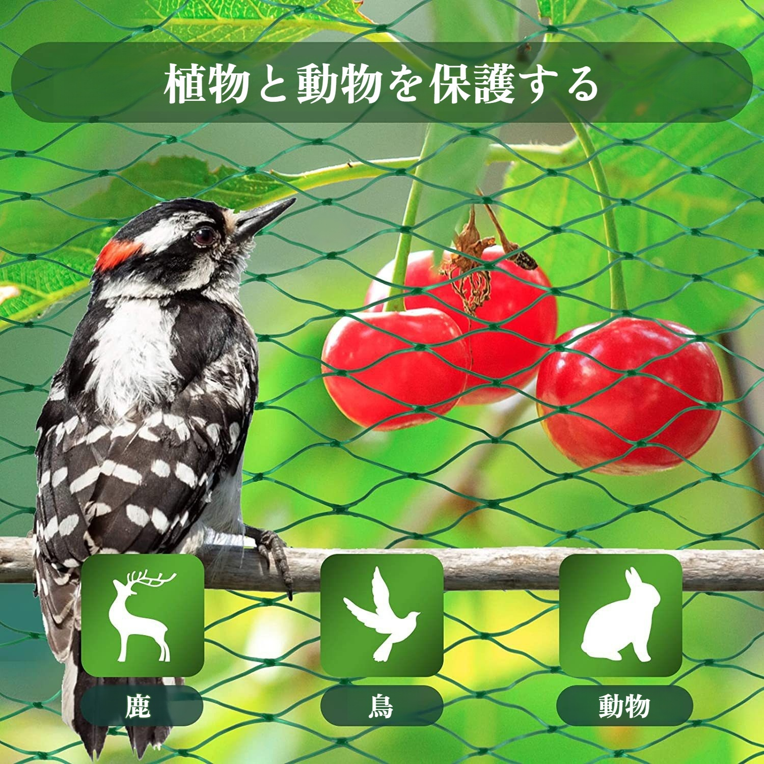 果樹の庭を鳥から守るネット