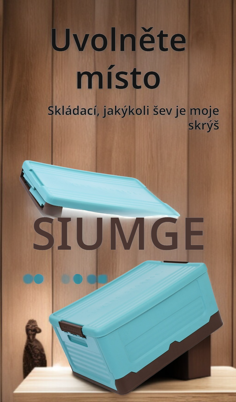 Easy-to-carry car storage box for trunk space