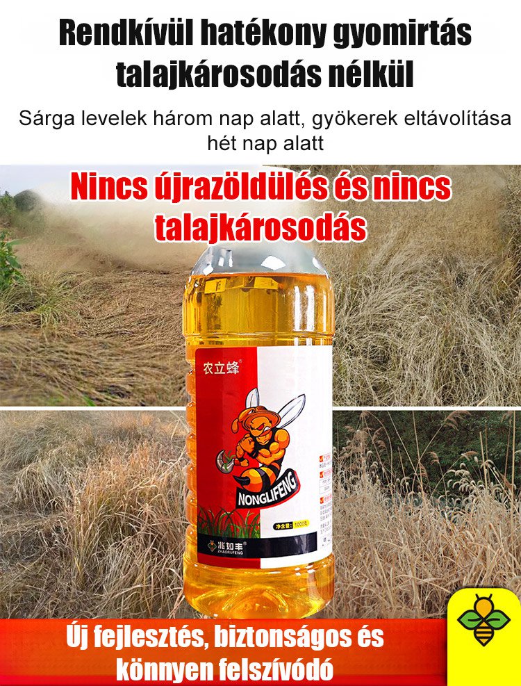 image_18.jpg