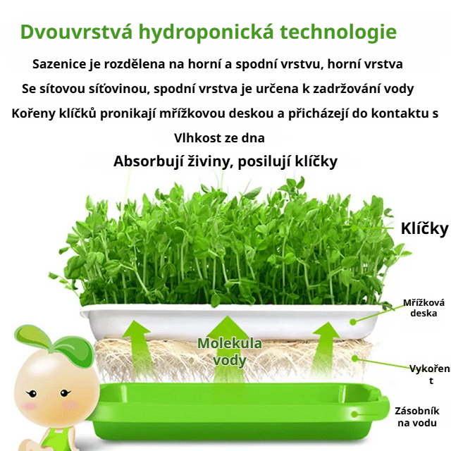 Domácí bezpůdní hydroponický sadbový tác na zeleninu