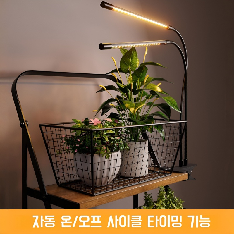 식물생장보광등타이밍보광다육육묘집게보광등약초생장등