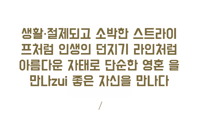 옷 수납에 적합한 대용량 세탁 바구니