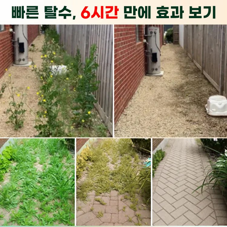 2 in 1 강력 제초제【6시간 내 효과 확인】