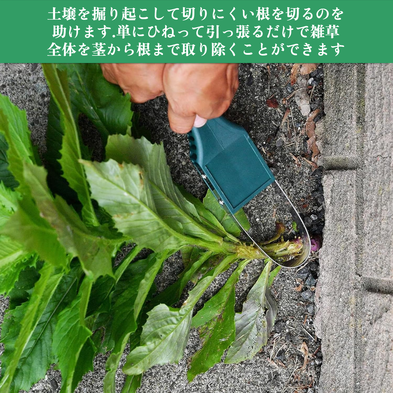 園芸用品 プラスチックハンドル除草機 除草ツール リングモア ハンドループ除草機