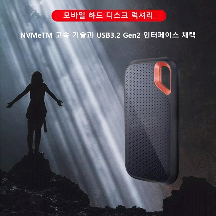 고속 전송 하드 디스크