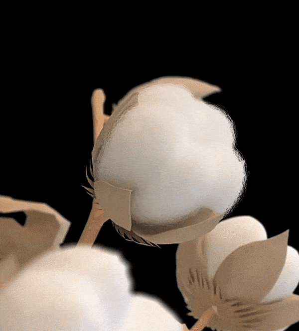 7.gif