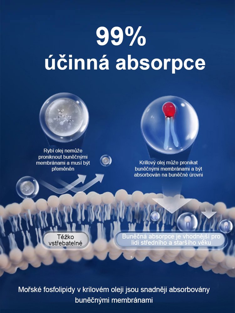 【Upgradovaná efektivní verze】Oleje z antarktického krilu