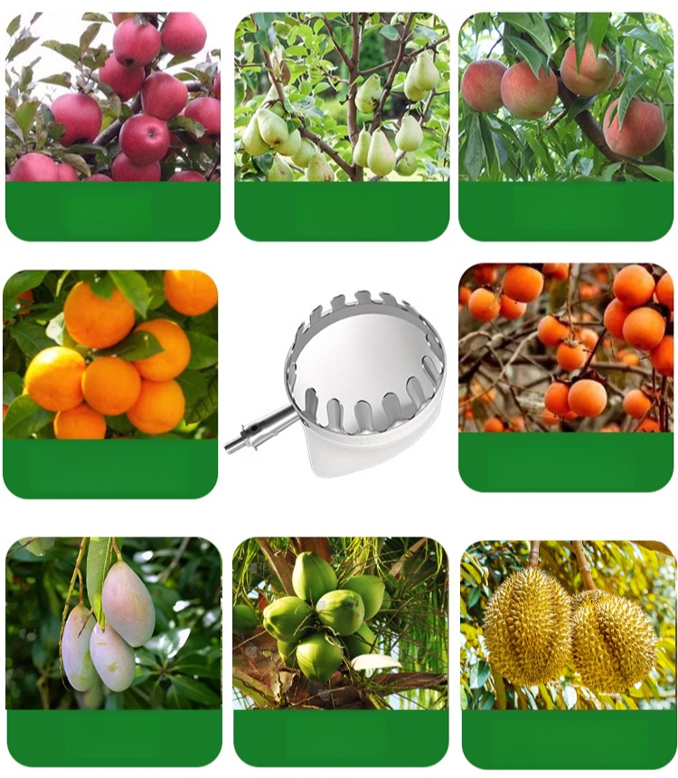 Teleskopstange Obstpflücker