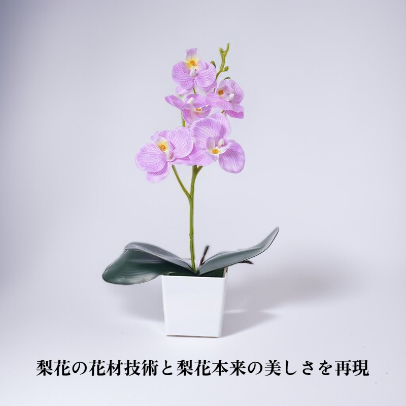 胡蝶蘭造花盆栽