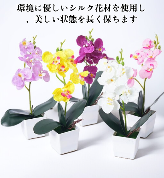 screenshot_2025-08-27_14-56-56.png