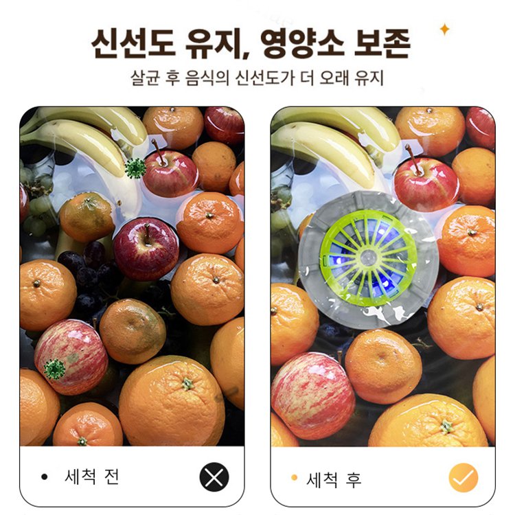 펄세이터 과일 및 채소 세척기
