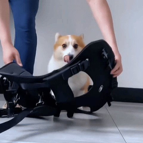 Giipet - Pet Carrier Backpack,Perfect for Traveling, Hospital Visits, Disaster Evacuation, Outings,