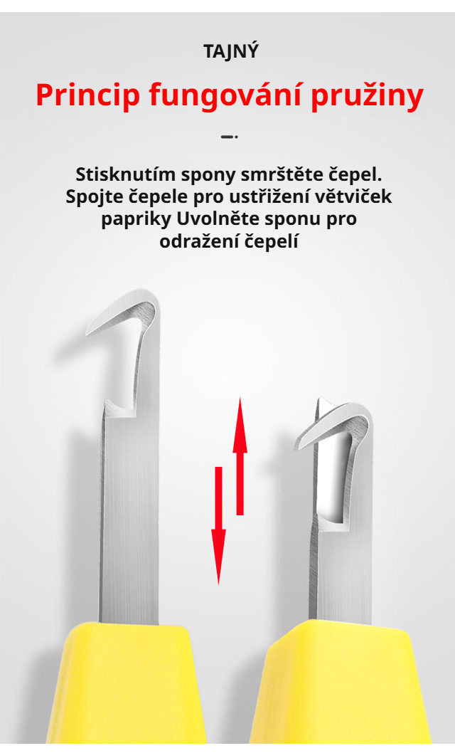 Zahradník používá nástroj na sběr ovoce