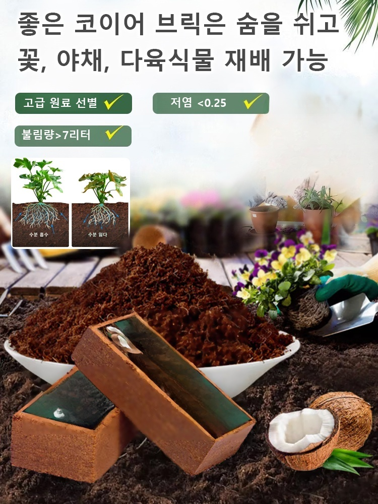 300g 무균 코코넛 브릭 영양토