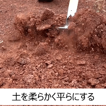 未标题-1_04 (2).gif