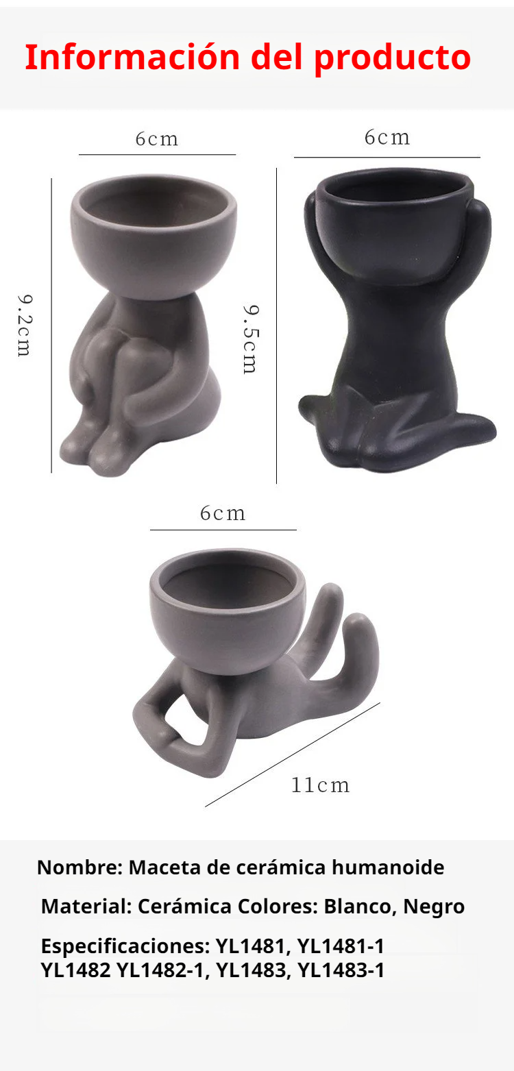 Maceta creativa de cerámica ideal para cactus