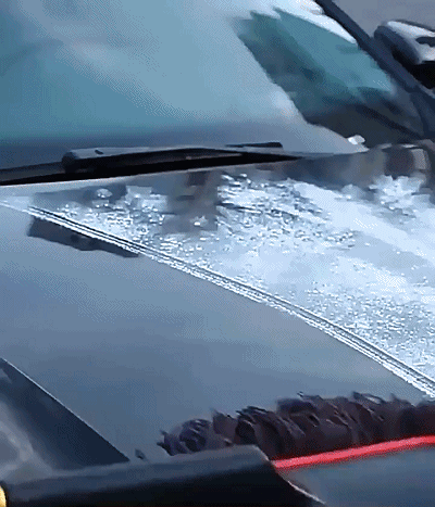 视频_1_20250211135752.gif