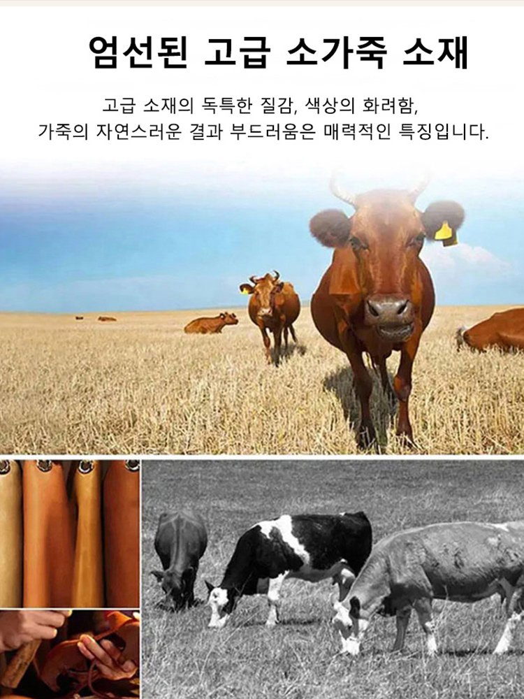 【5in1】자동차 팔걸이 수납함