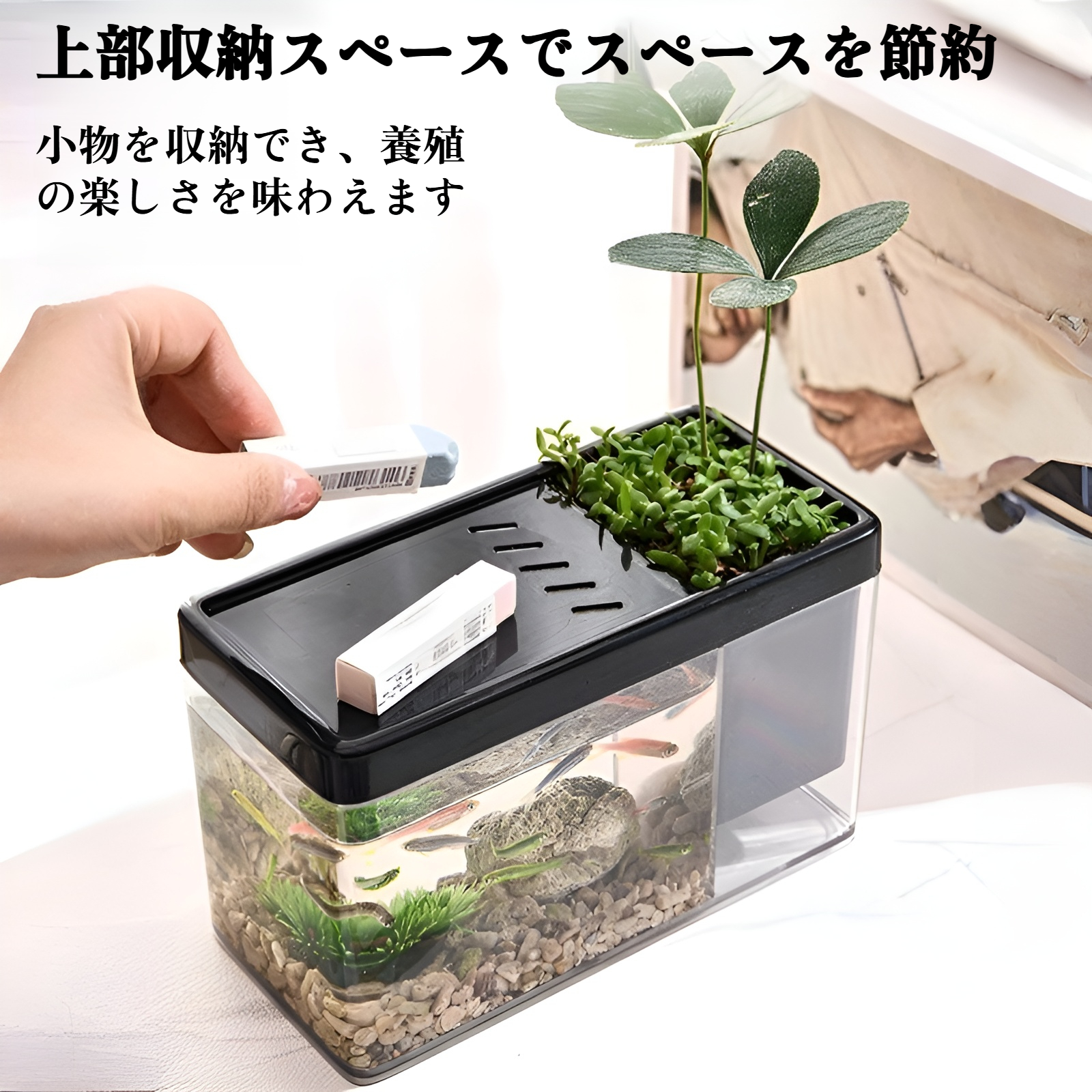 風景フルセットの厚くなったガラスの卓上水槽マイクロ風景緑の植物リビングルームのホームデスクトップ水槽