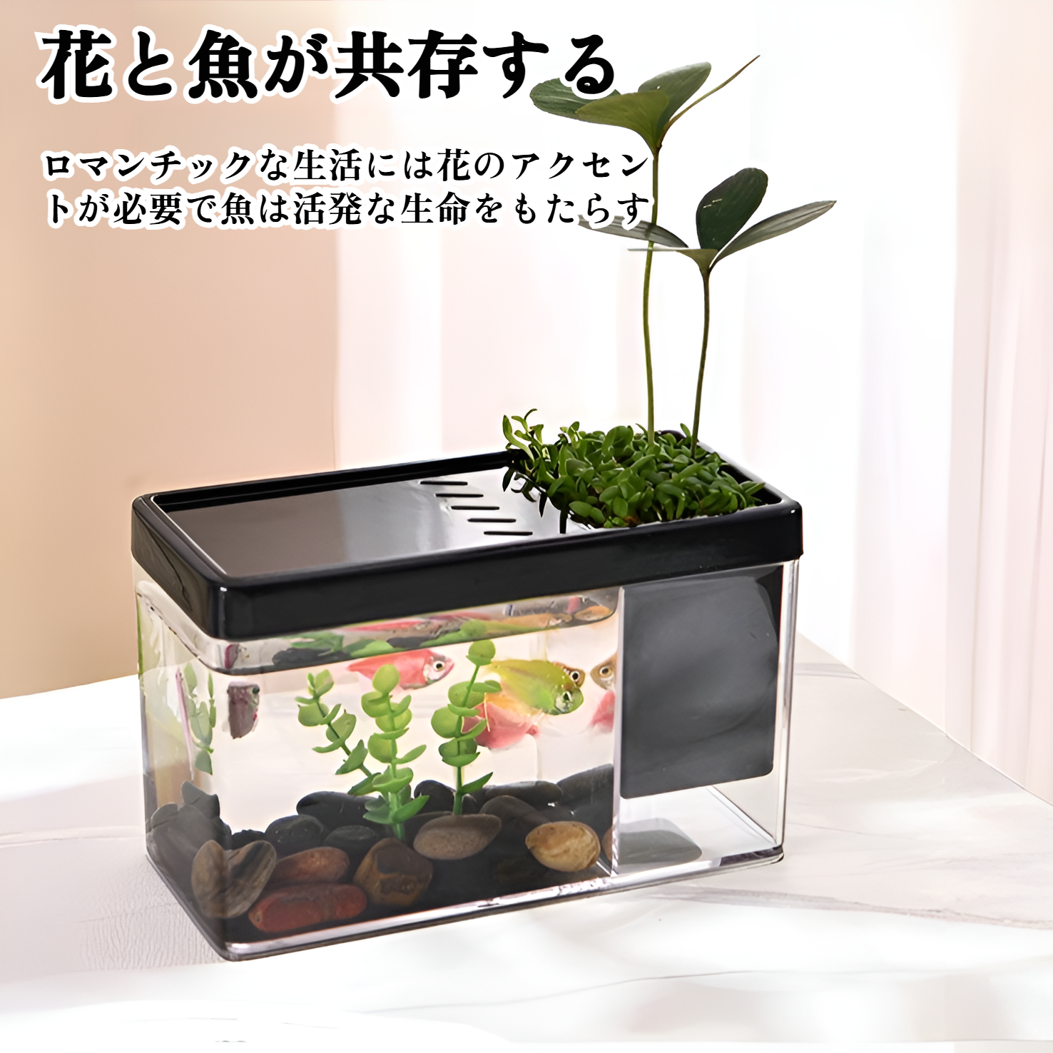 風景フルセットの厚くなったガラスの卓上水槽マイクロ風景緑の植物リビングルームのホームデスクトップ水槽