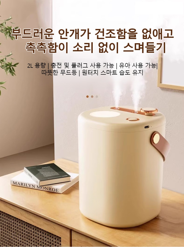 이중 분무 공기 가습기 전면 이미지