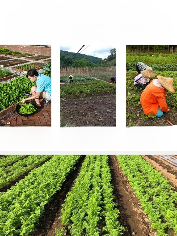 草刈りレーキキット