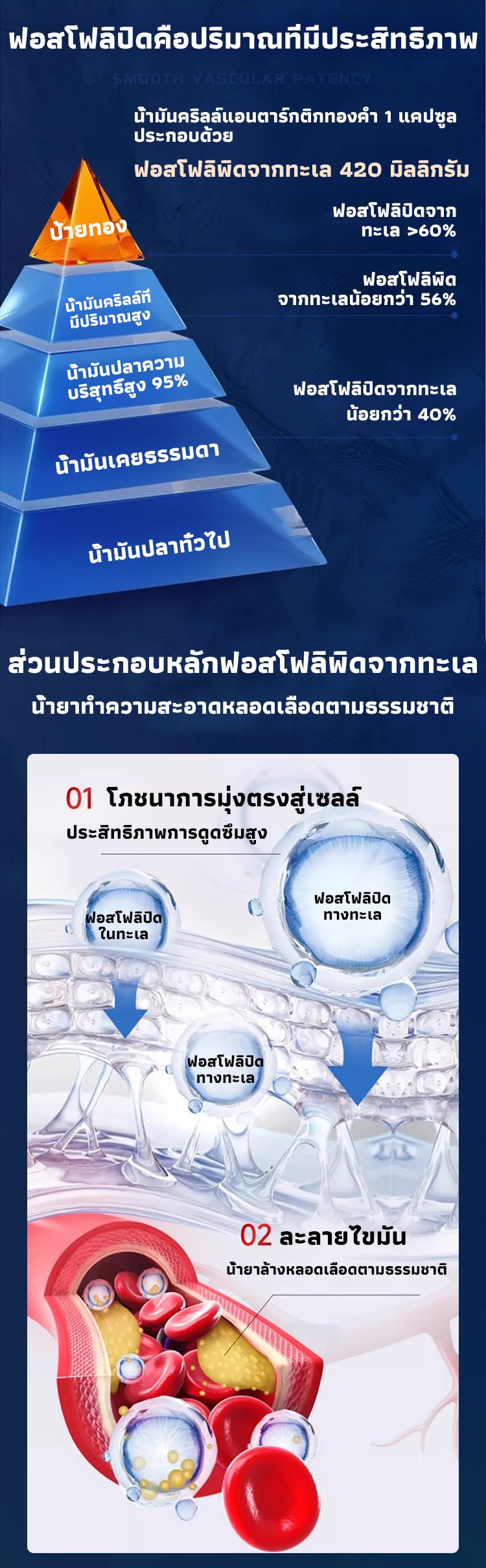 HFH-【康民国际医院新研发】南极磷虾油_10.jpg