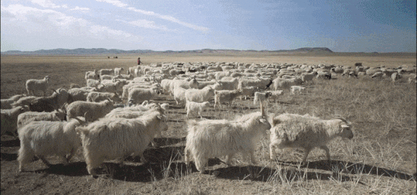 4e07aeb721efa561b2e0aa359fea4cd8.gif
