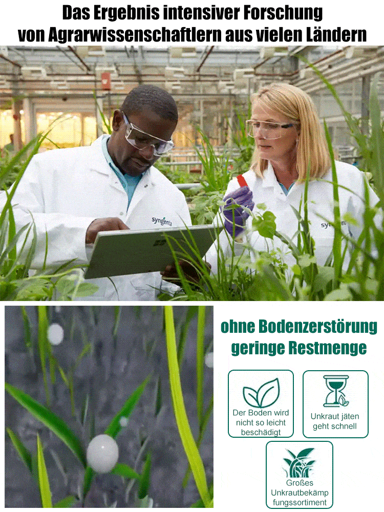 【100 Prozent Glyphosatfre】Hohenheim Forschungs-Bio-Unkrautvernichter✨Ein Jahr Schutz vor Unkraut✨