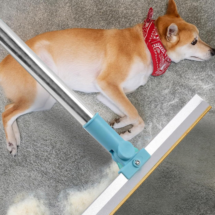 Sada vysouvacího kartáče na čištění koberců a odstraňování chlupů