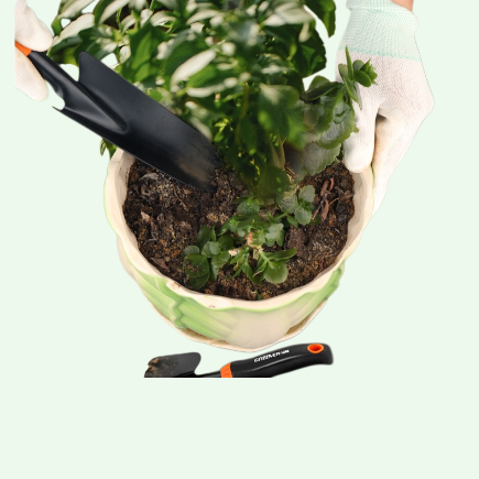 Versatile Horticultural Shovel A Handy Tool for Planting and Landscaping