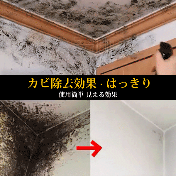 特効カビ除去剤