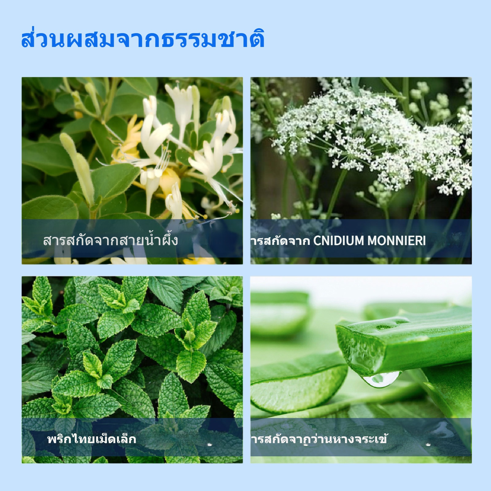 c62521a4-e8f9-47b3-99fe-554a429c4c61.png.png