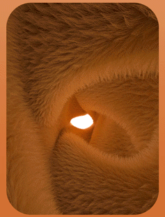 a4d3e7d2029ed15155385b53478f2e4e273687f52a16b4-jP2QTc.gif