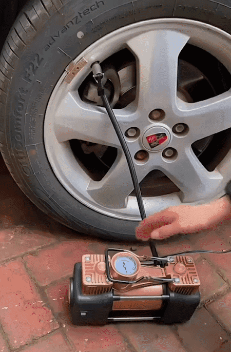 1.gif